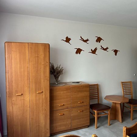 Podlaski Bon Turystyczny Emka Noclegi Apartamenty أوغستوف المظهر الخارجي الصورة